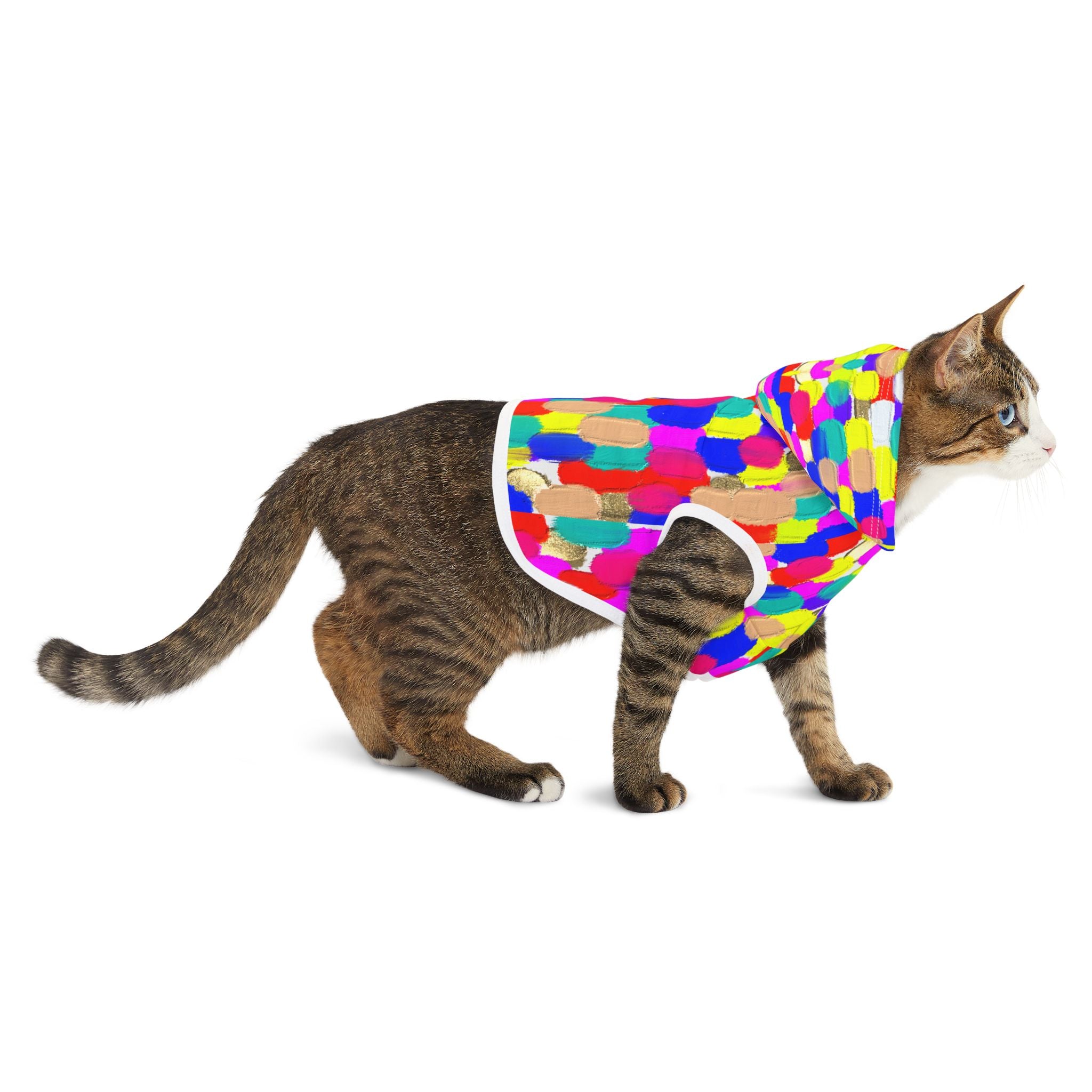 Pet Hoodie — Colorful Brushstroke Print Dog Hoodie