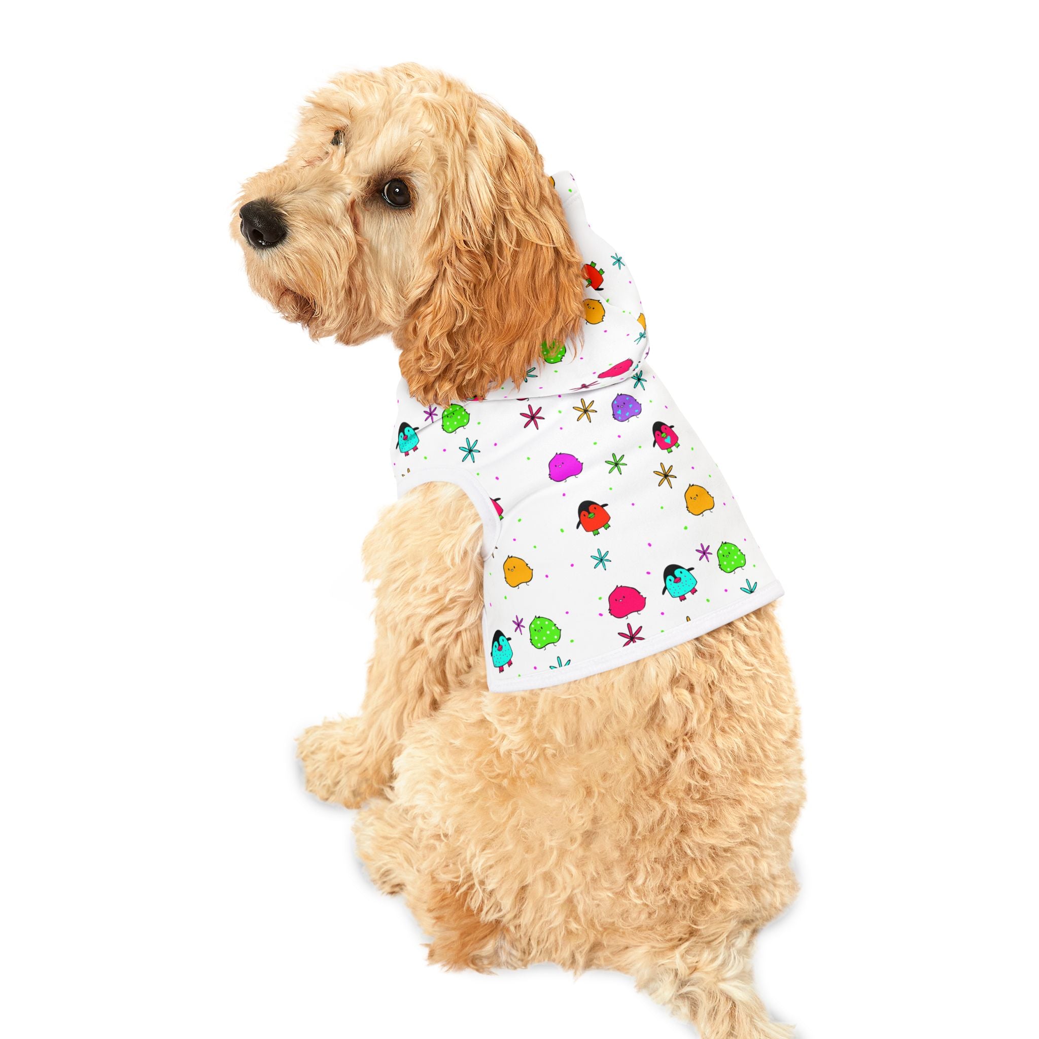 Pet Hoodie - Colorful Cartoon Birds Pattern Small Dog & Cat Hoodie