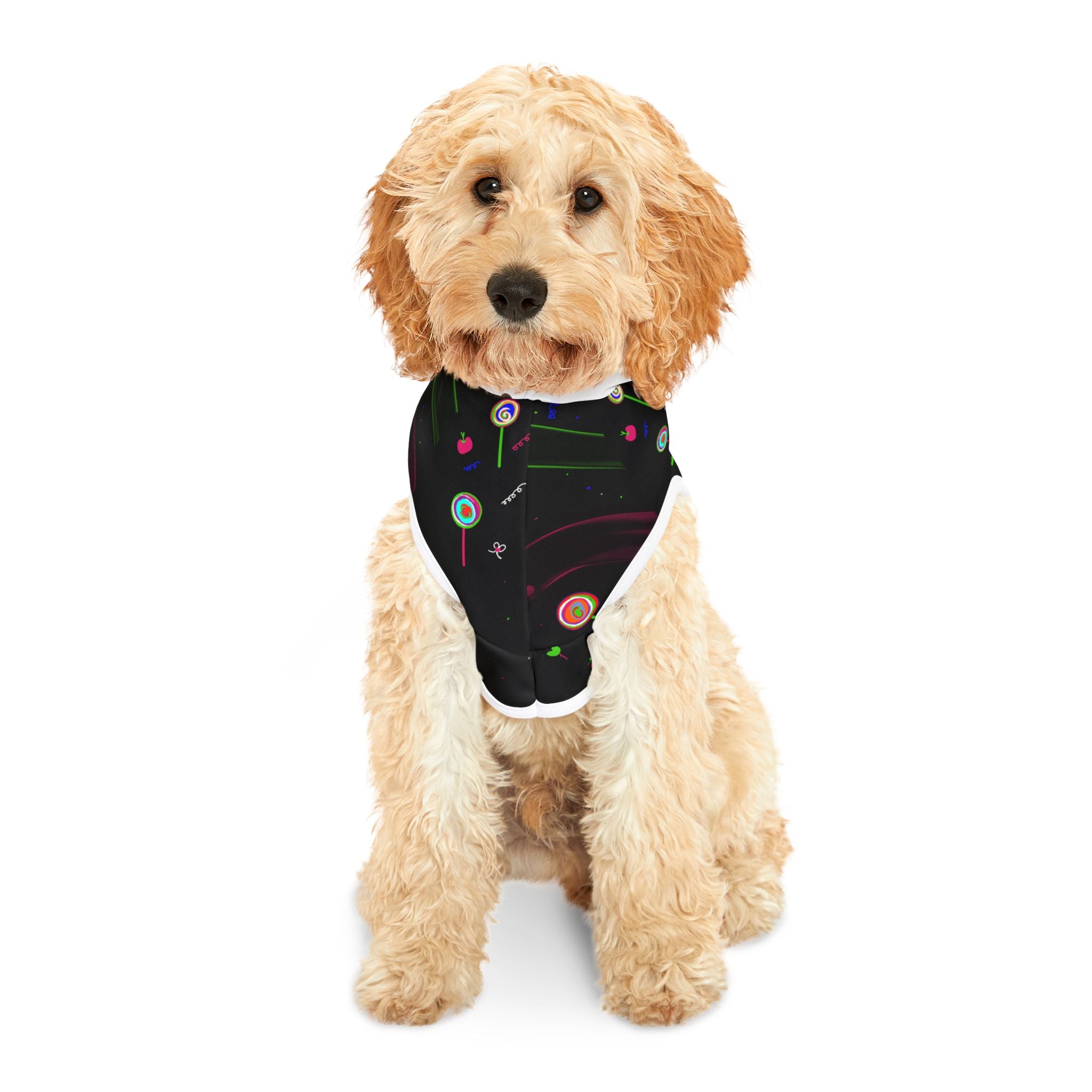 Candy Galaxy Pet Hoodie — Space Lollipop Print Dog & Cat Sweatshirt