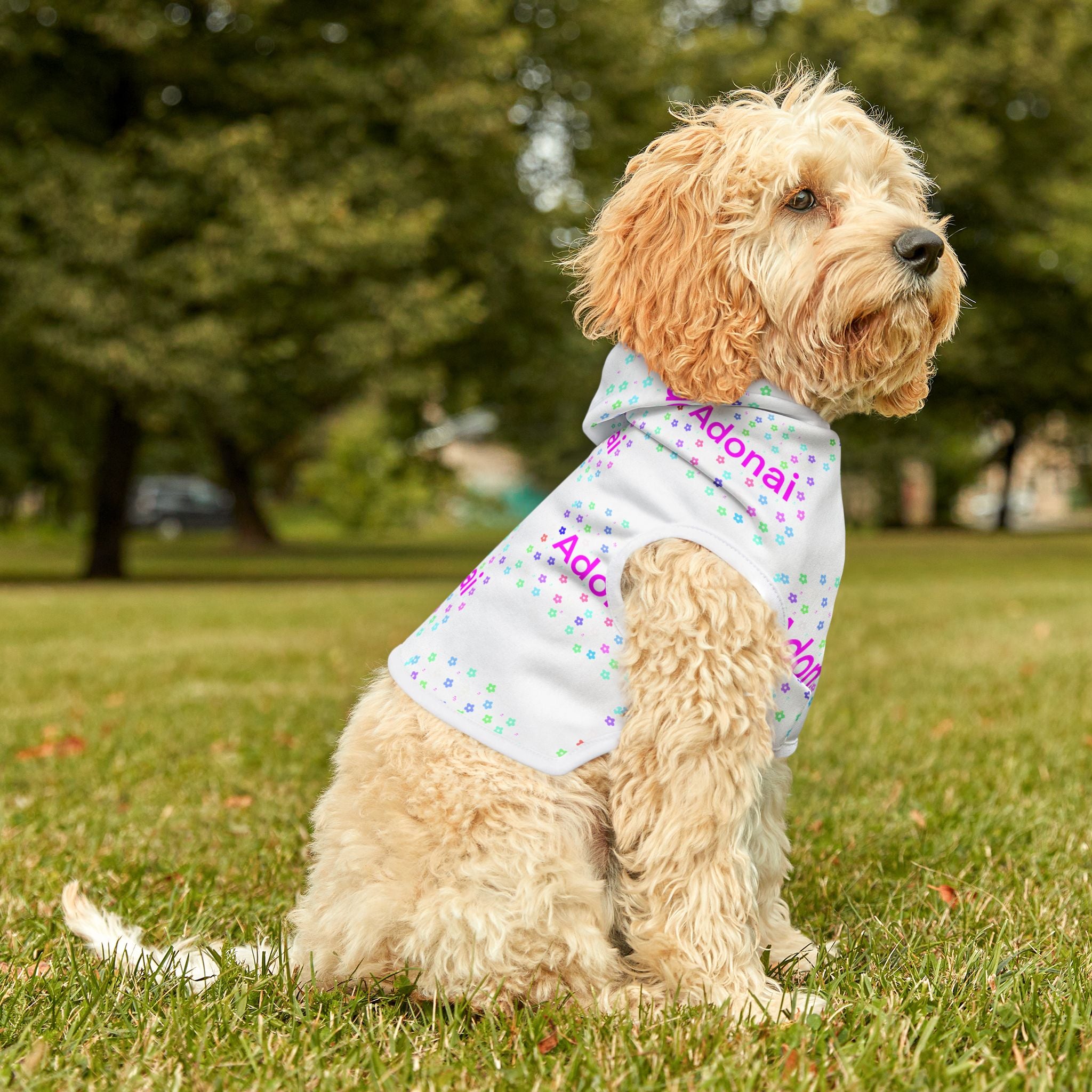 Pet Hoodie — Personalized "Adonai" Confetti Hooded Pet Shirt