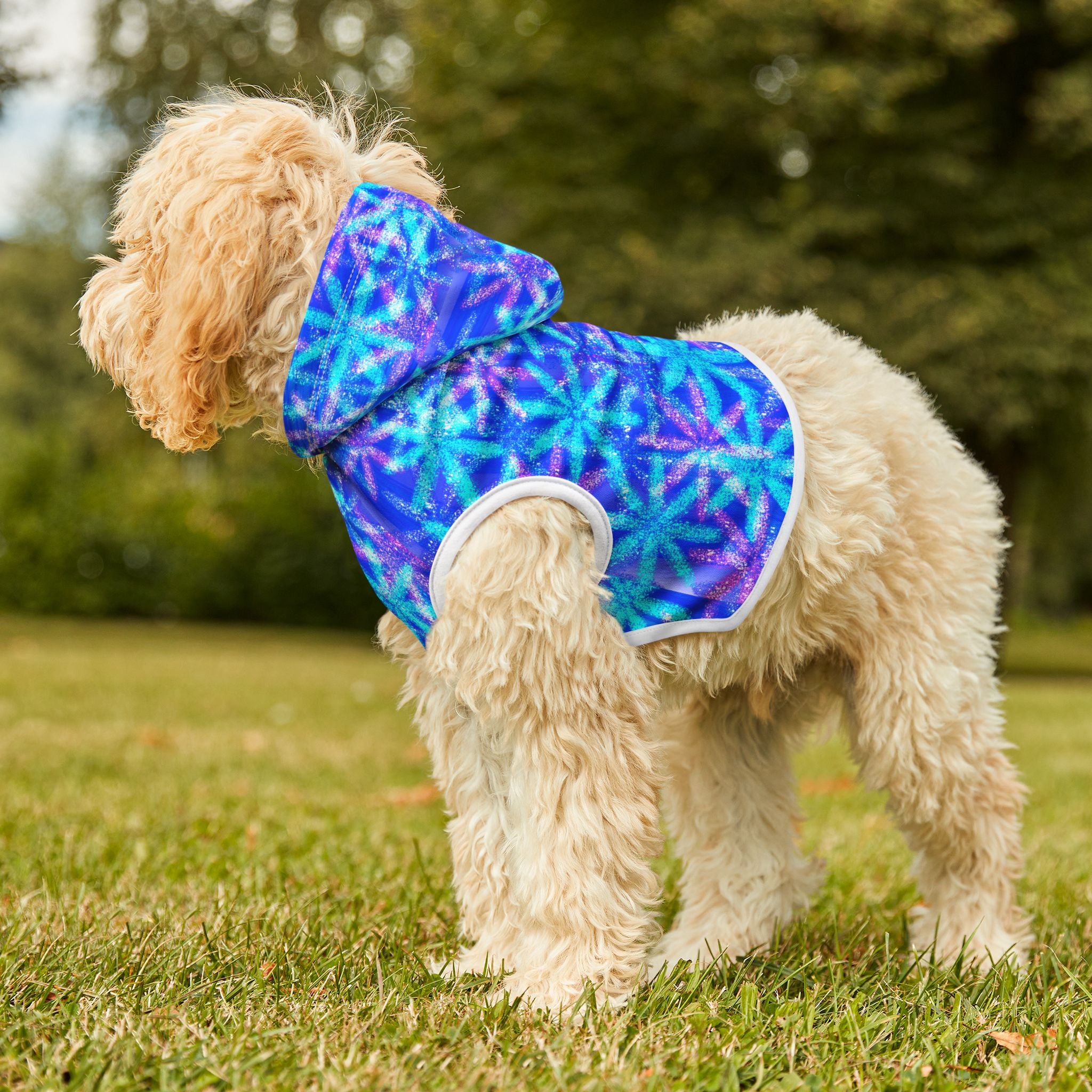 Blue Starburst Pet Hoodie — Cozy Winter Dog & Cat Hoodie