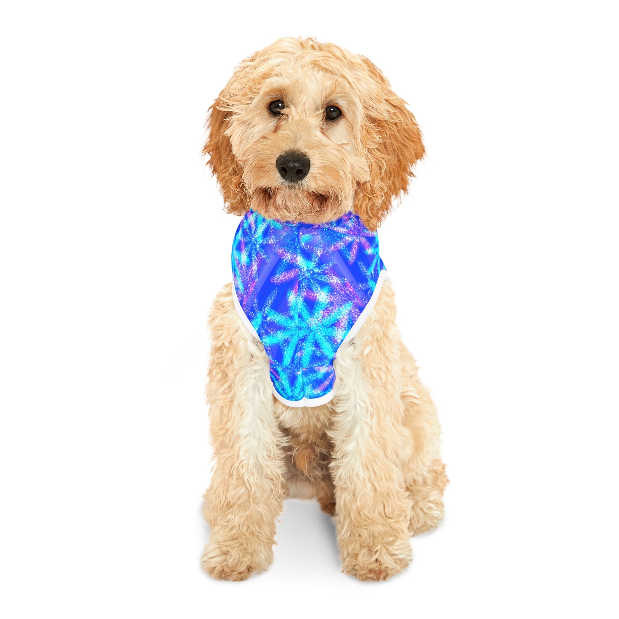 Blue Starburst Pet Hoodie — Cozy Winter Dog & Cat Hoodie