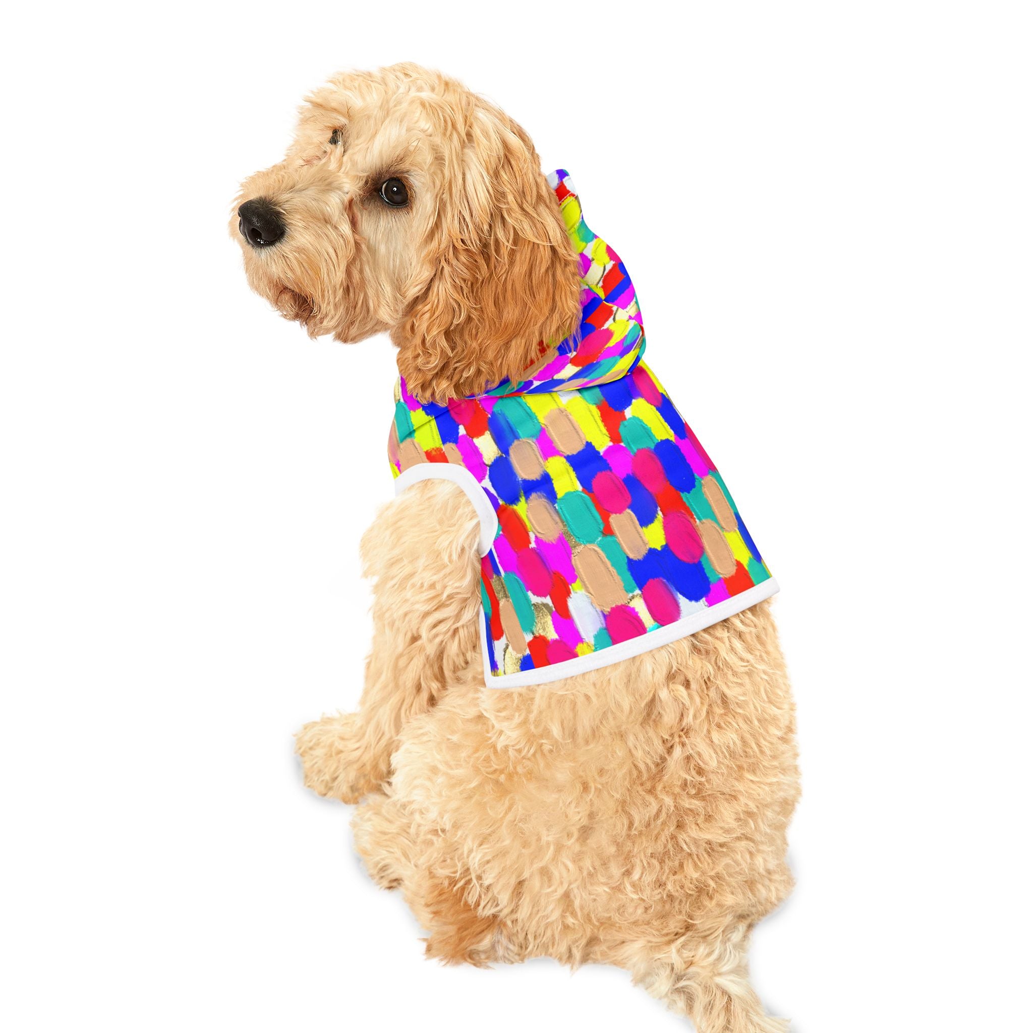 Pet Hoodie — Colorful Brushstroke Print Dog Hoodie