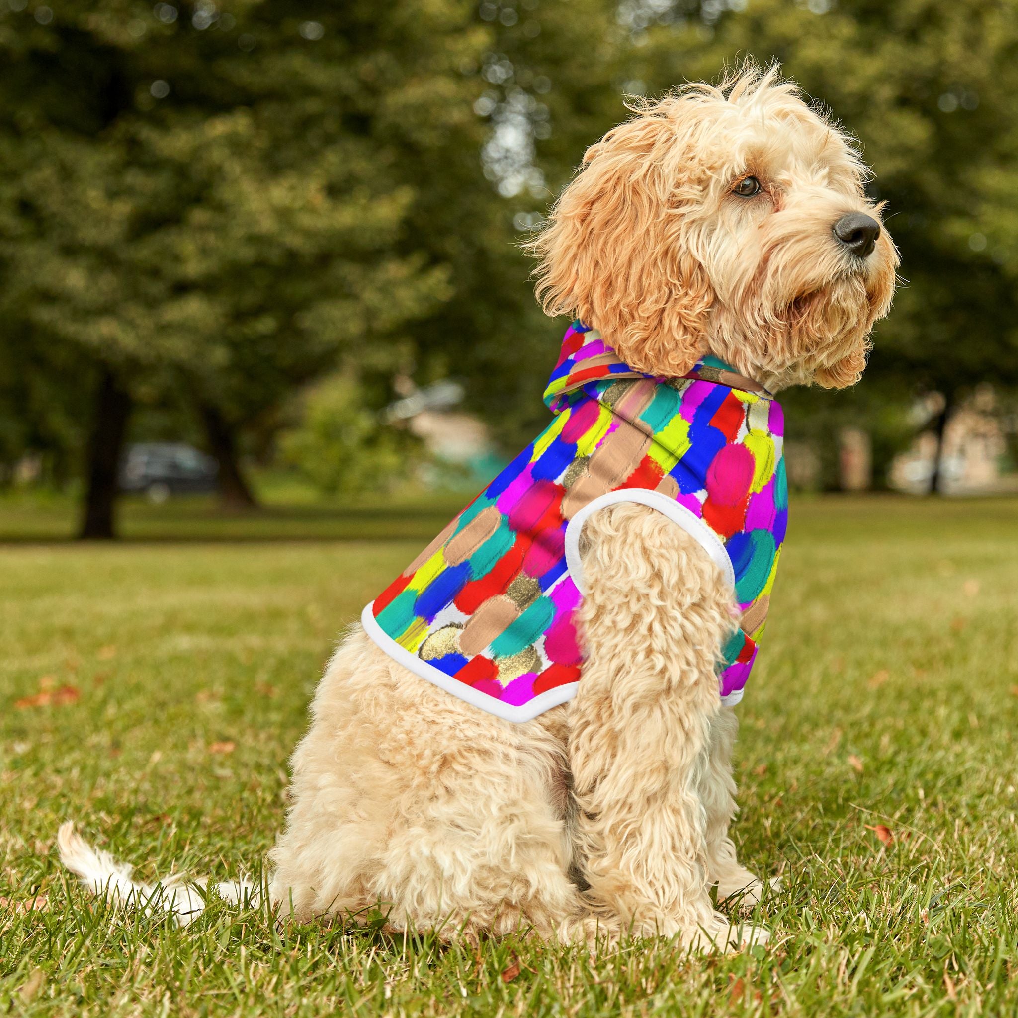 Pet Hoodie — Colorful Brushstroke Print Dog Hoodie