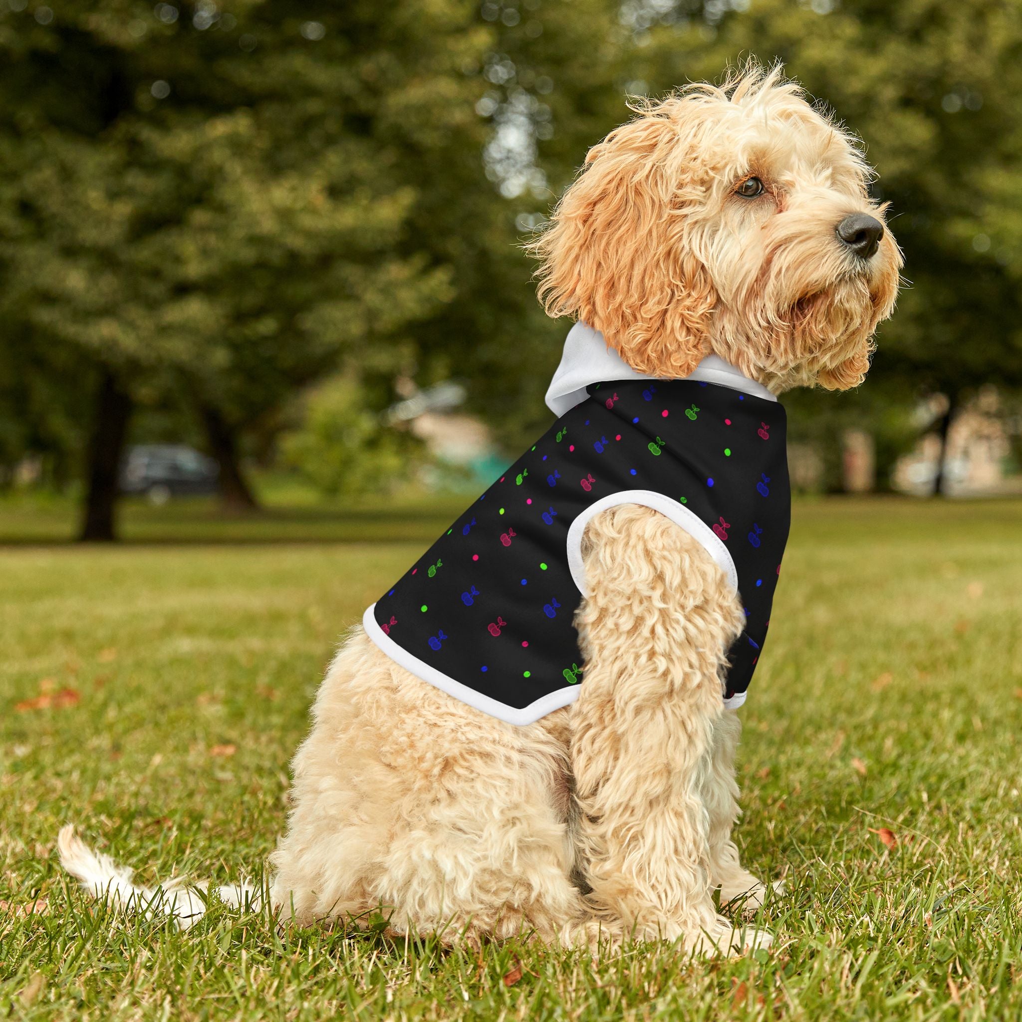 Pet Hoodie - Colorful Paw Print Hooded Dog & Cat Sweatshirt