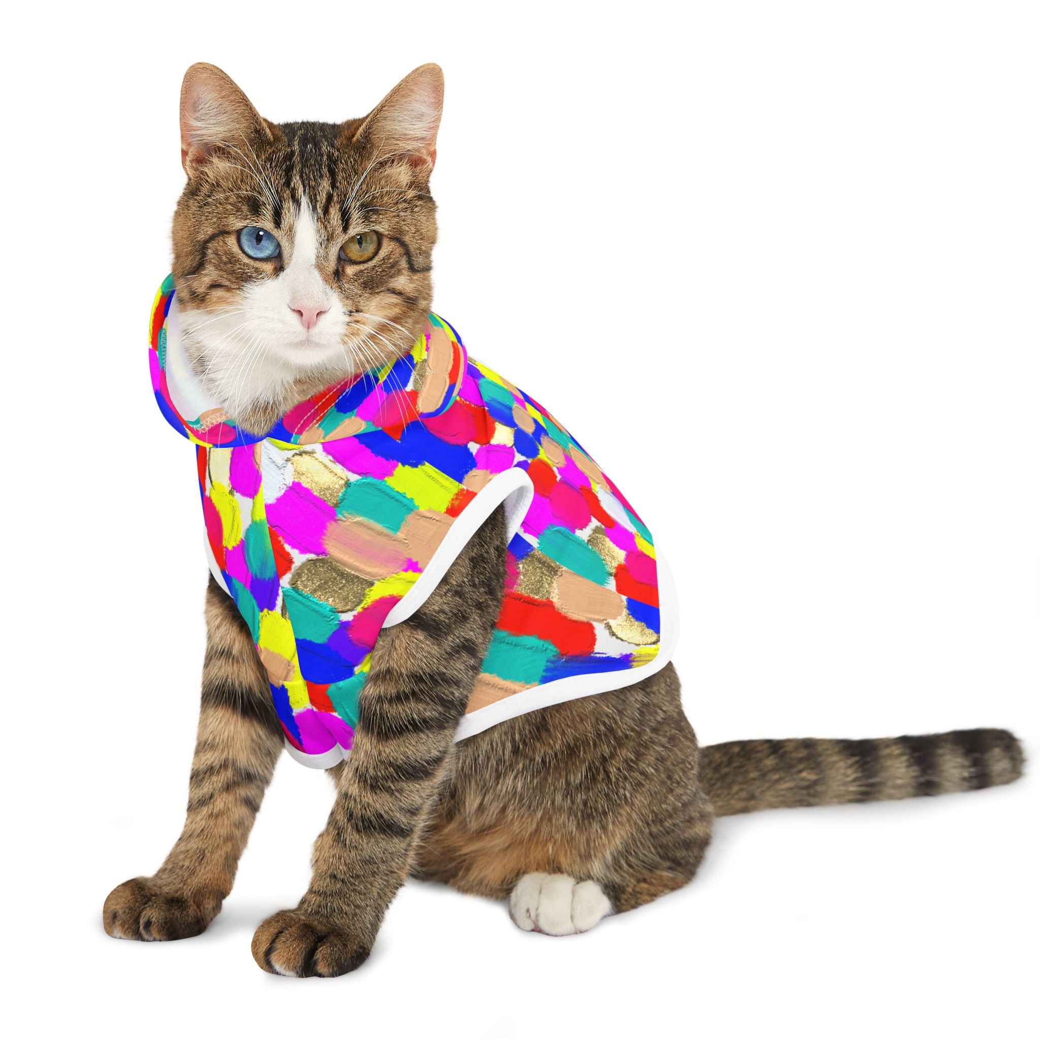 Pet Hoodie — Colorful Brushstroke Print Dog Hoodie
