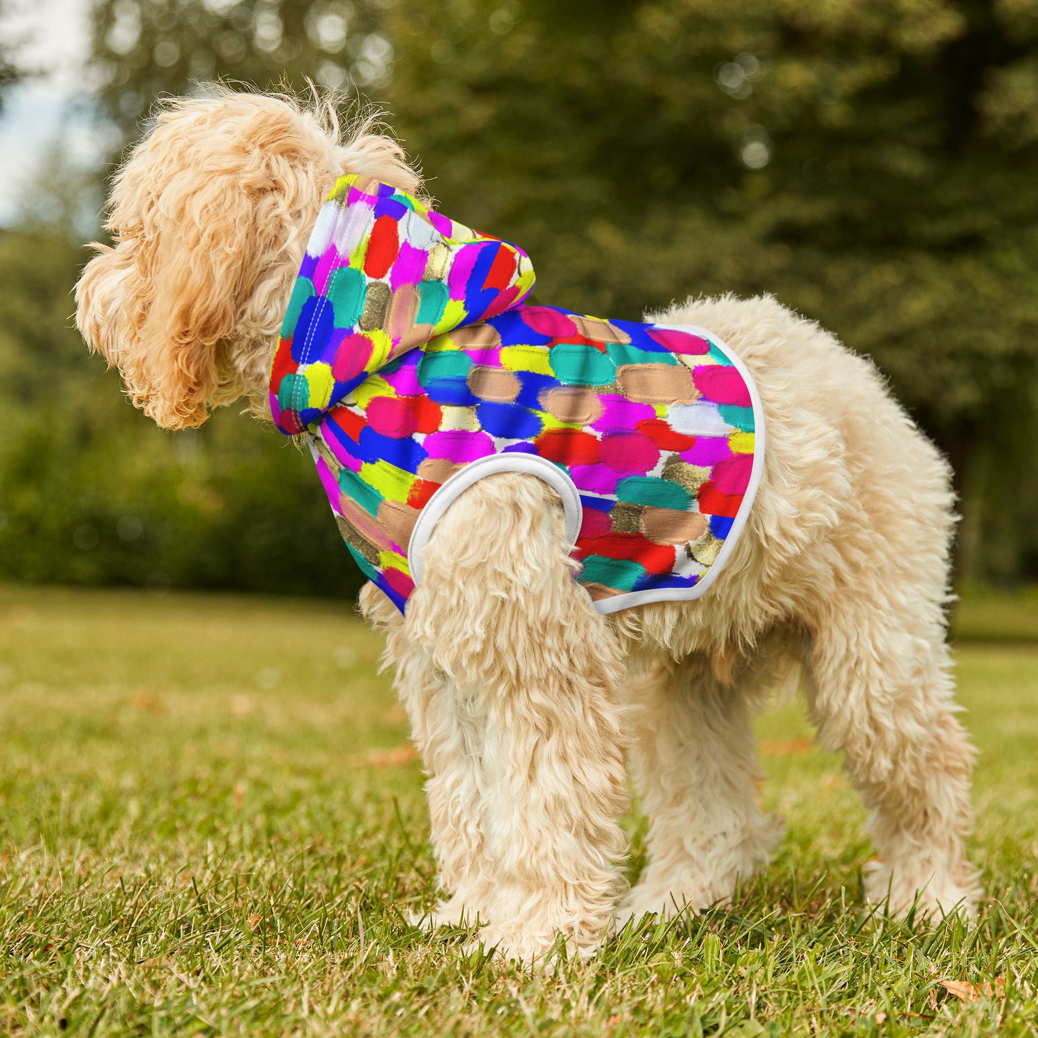 Pet Hoodie — Colorful Brushstroke Print Dog Hoodie