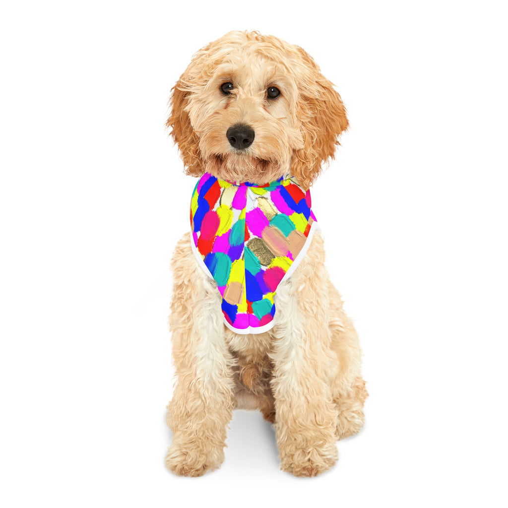 Pet Hoodie — Colorful Brushstroke Print Dog Hoodie