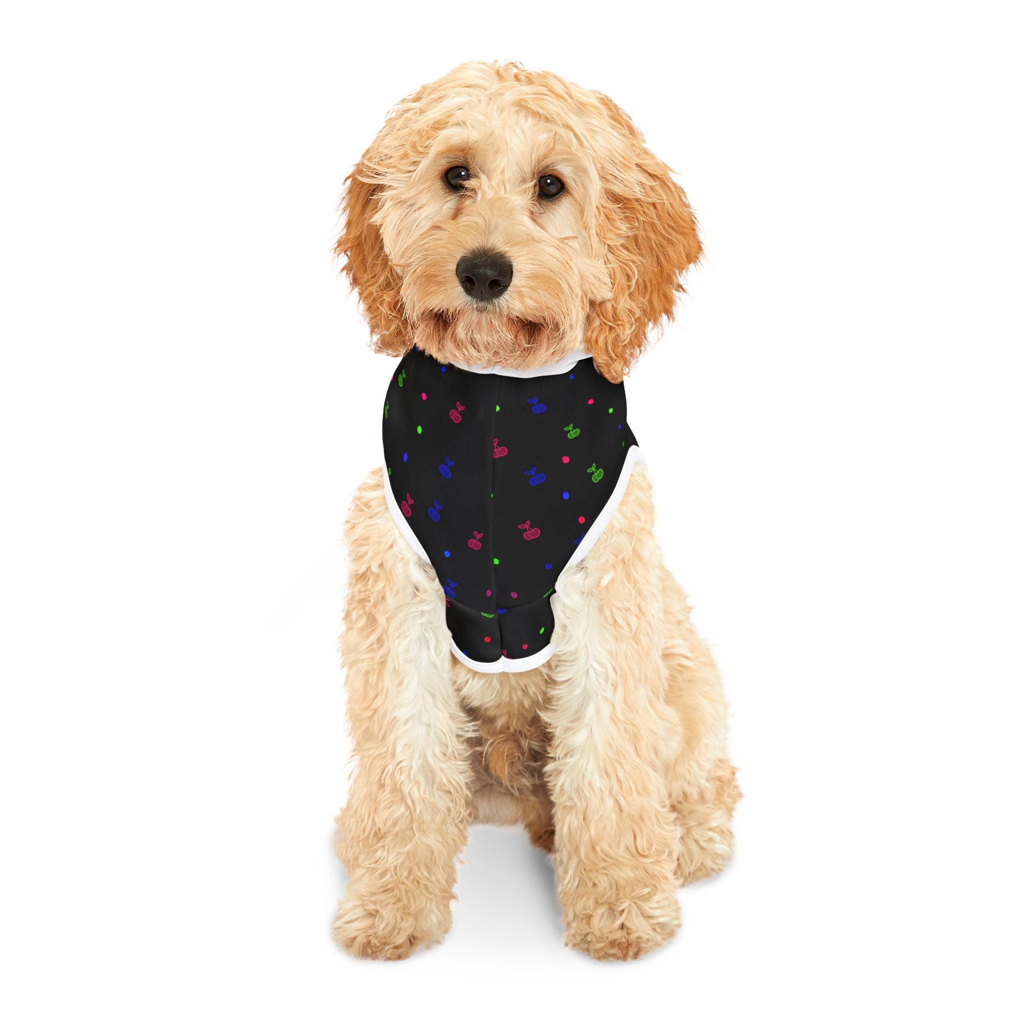 Pet Hoodie - Colorful Paw Print Hooded Dog & Cat Sweatshirt